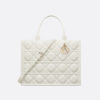 Medium Dior Book Tote