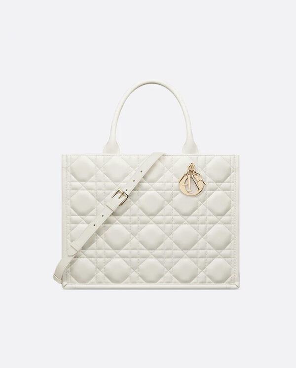 Medium Dior Book Tote
